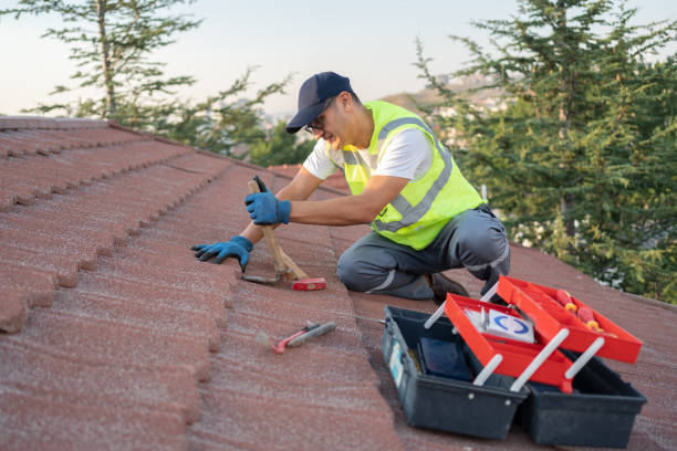 Best Storm Damage Roof Repair  in Trumann, AR